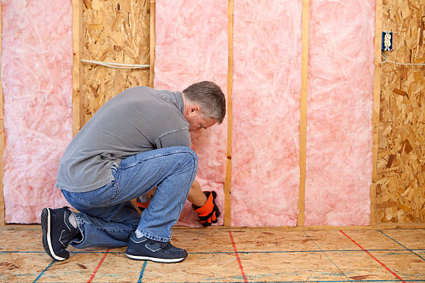 Best Professional Insulation Contractor  in Lakeshire, MO